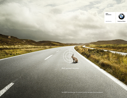 bmw_hase